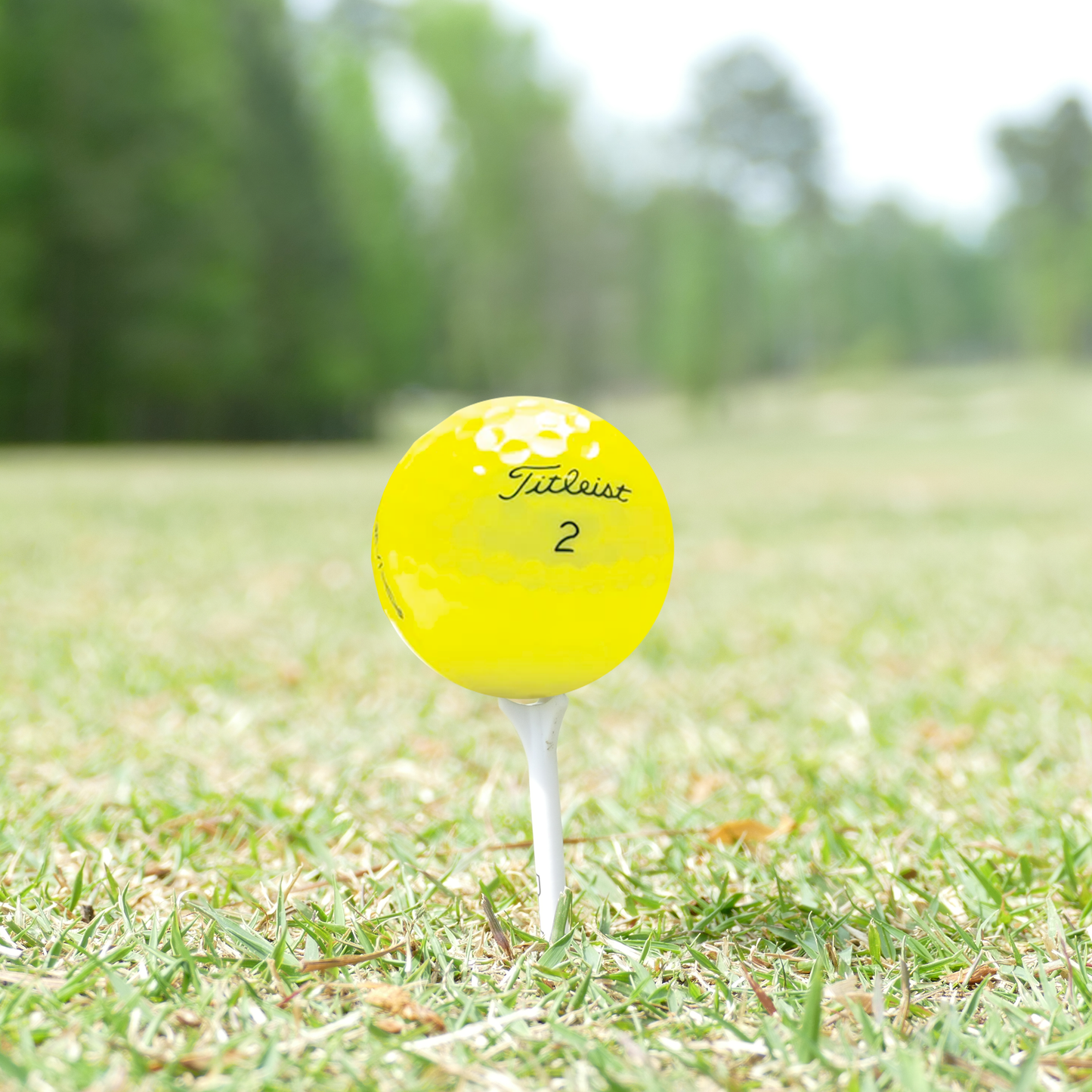 Used Titleist Pro V1 Yellow Mix Golf Balls - 1 Dozen