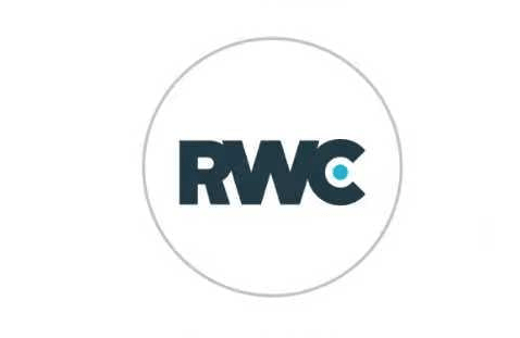 RWC Elite Poker Chip Ball Marker - Club Rehab