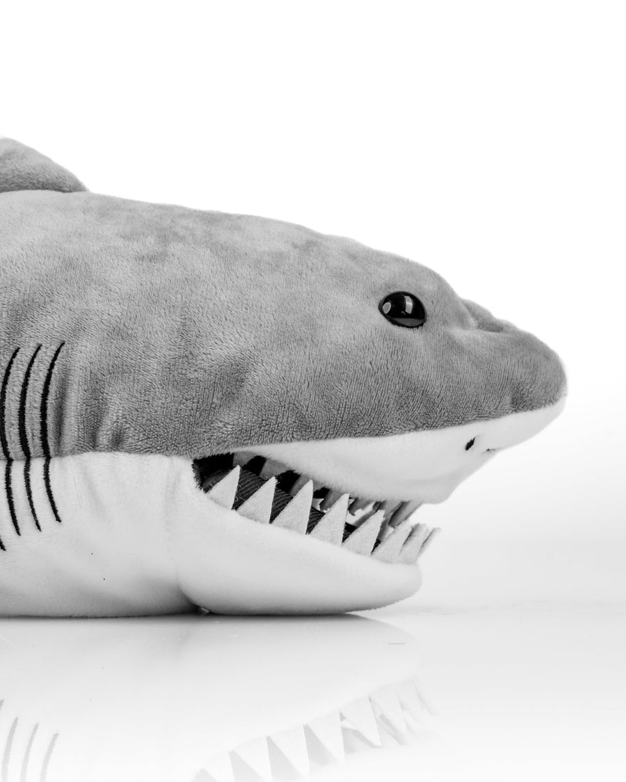 Side close-up of the gray shark cover's snout, open mouth, triangular teeth and gill marks