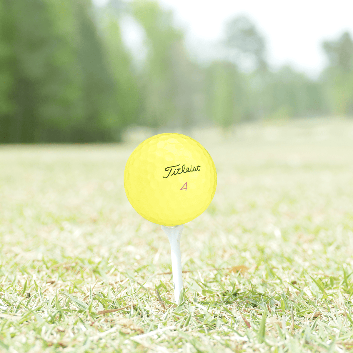 Used Titleist Pro V1x Yellow Mix Golf Balls - 1 Dozen - Mint - Club Rehab