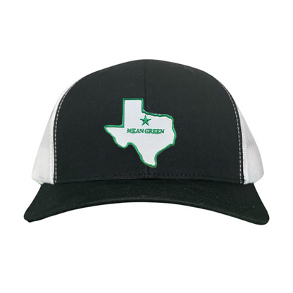 North Texas State of Texas Mean Green  / 264 / UNT087 / MM