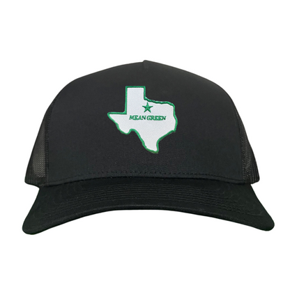 North Texas State of Texas Mean Green  / 264 / UNT087 / MM