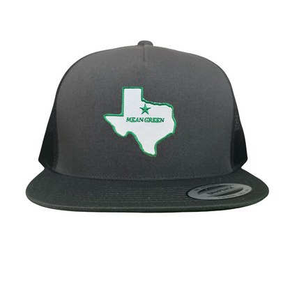 North Texas State of Texas Mean Green  / 264 / UNT087 / MM