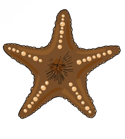 Chocolate Starfish Ball Marker