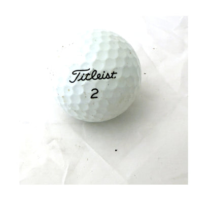 Used Titleist Mix Golf Balls - Mesh Bag