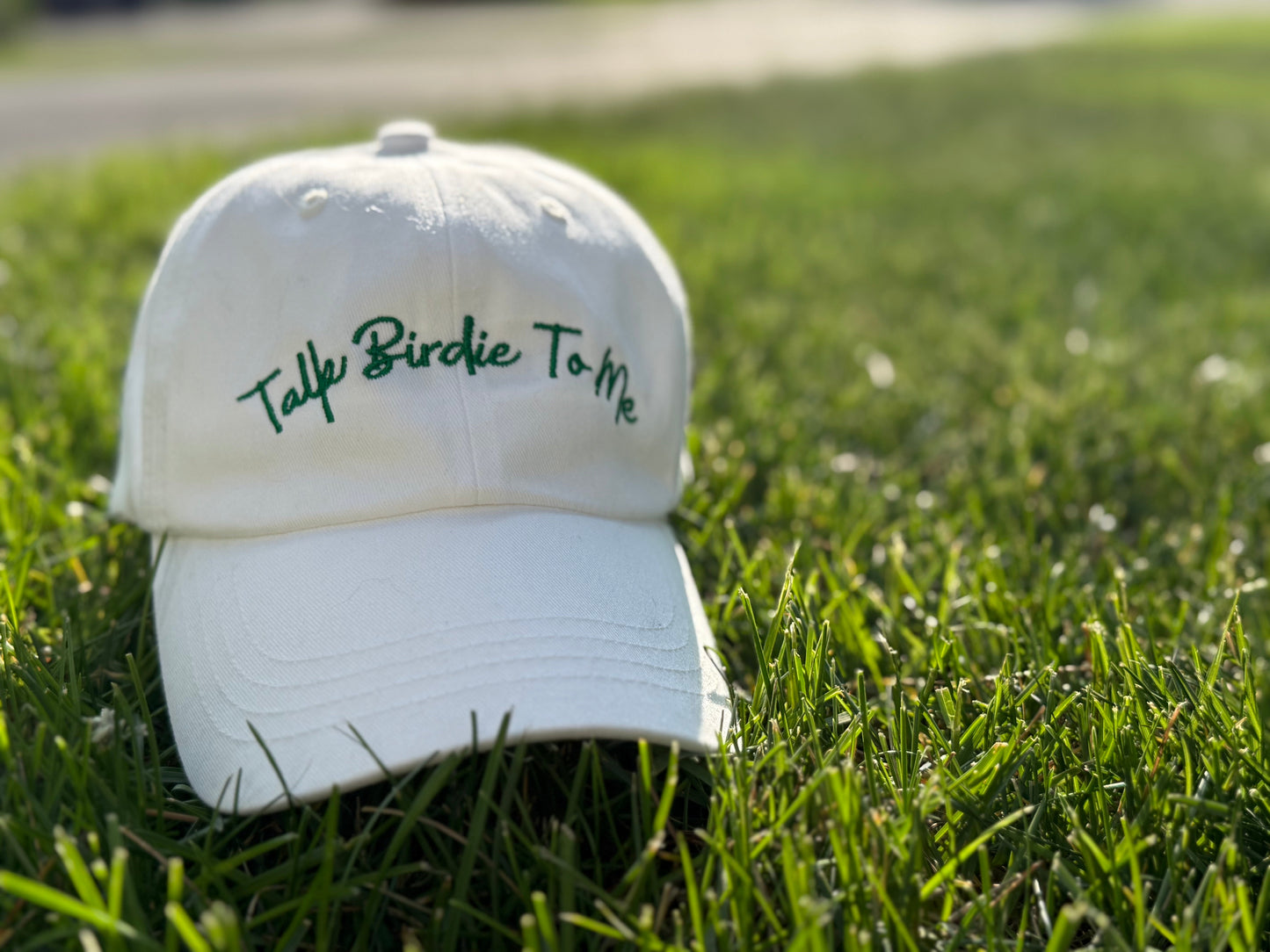 Talk Birdie to Me Embroidered Golf Hat