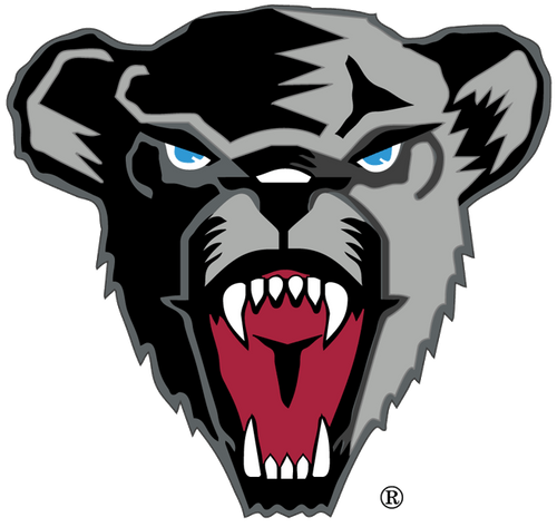 Maine Black Bears