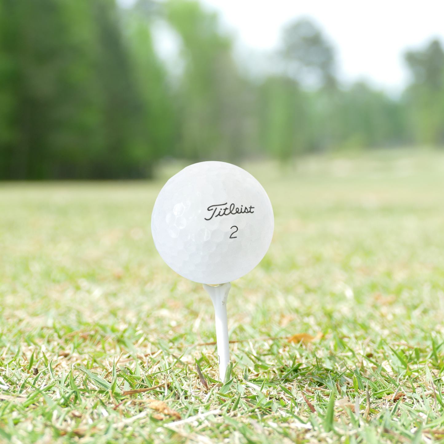 Used Titleist Pro V1 2023 Golf Balls – Mint & Near Mint – 1 Dozen