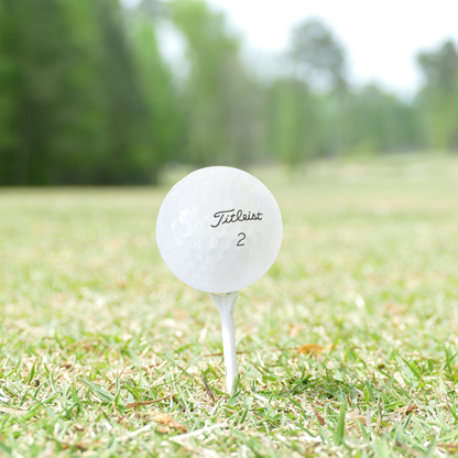 Used Titleist Pro V1 2023 Golf Balls – Mint & Near Mint – 1 Dozen