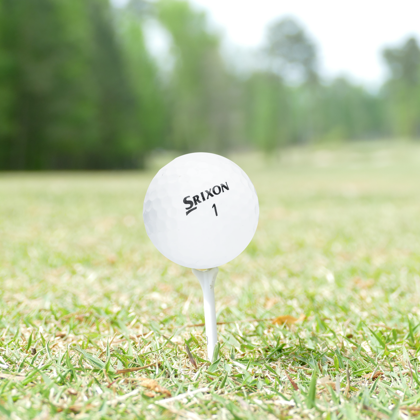 Used Srixon Q-Star/Q-Star Tour Golf Balls - 1 Dozen
