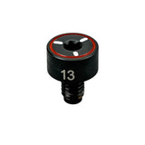 13g