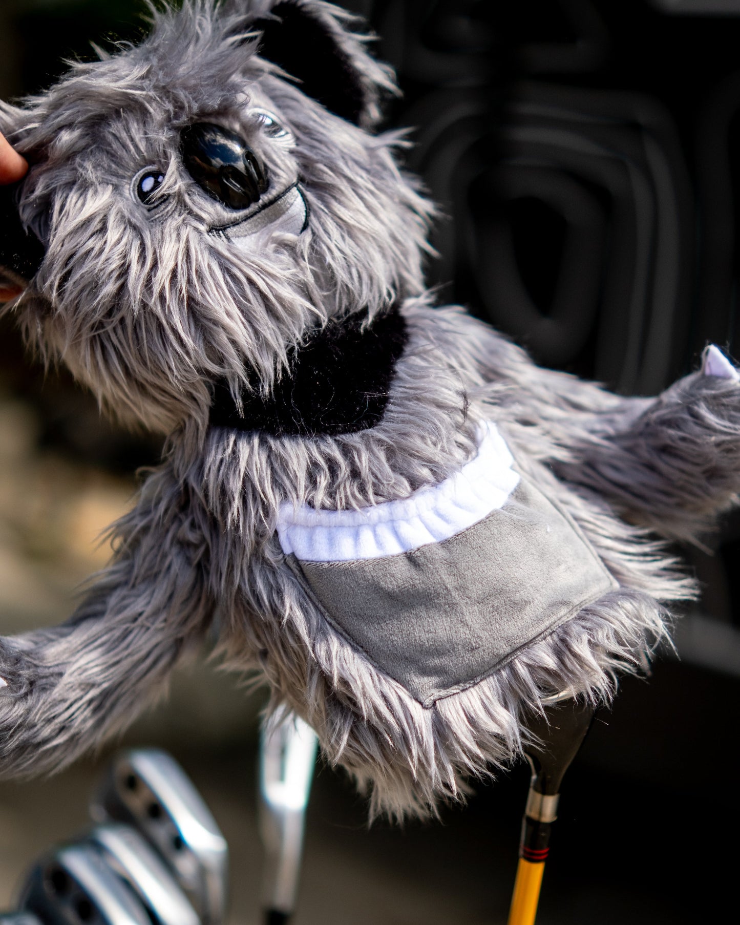 Koala - Driver Cover