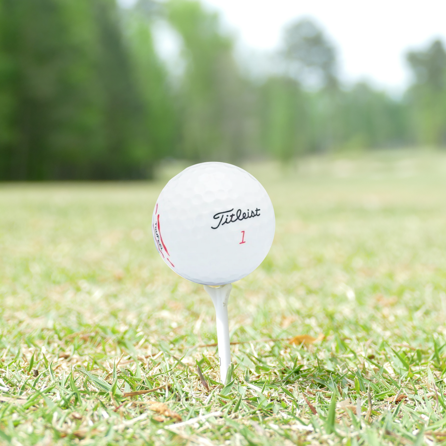 Used Titleist TruFeel Golf Balls - 1 Dozen