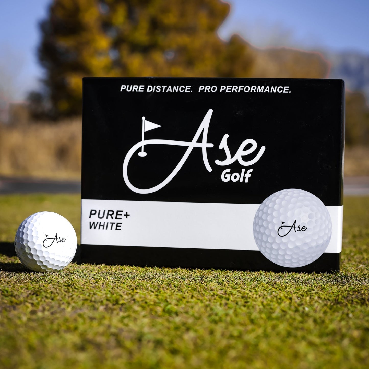 Ase Pure+ Golf Ball - Club Rehab