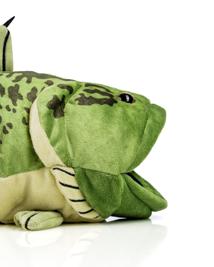 Side close-up of the green bass cover's rounded head, dark markings, pale belly and fins
