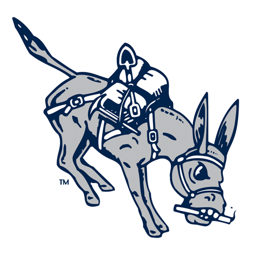 Colorado School of Mines Orediggers