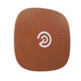 Brown P Logo