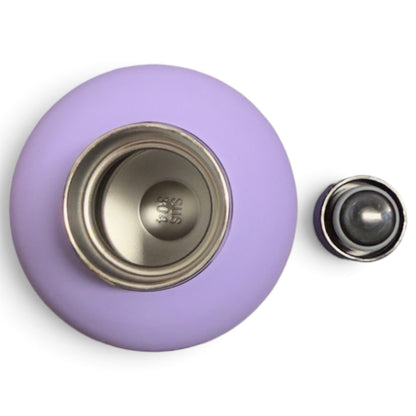 Flamingo Hydration Bottle | 24oz Insulated Stainless Steel | Screw On Lid - Purple - Club Rehab