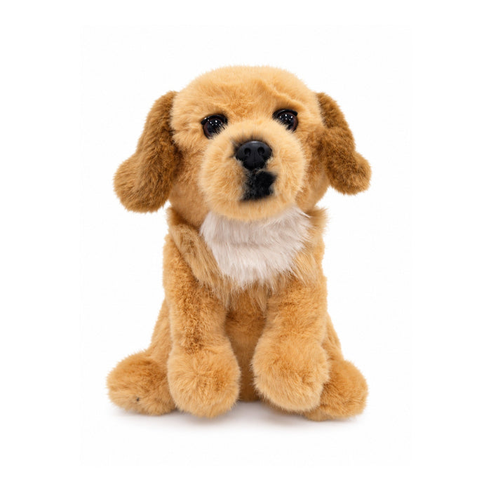 Golden Dog driver headcover, front view