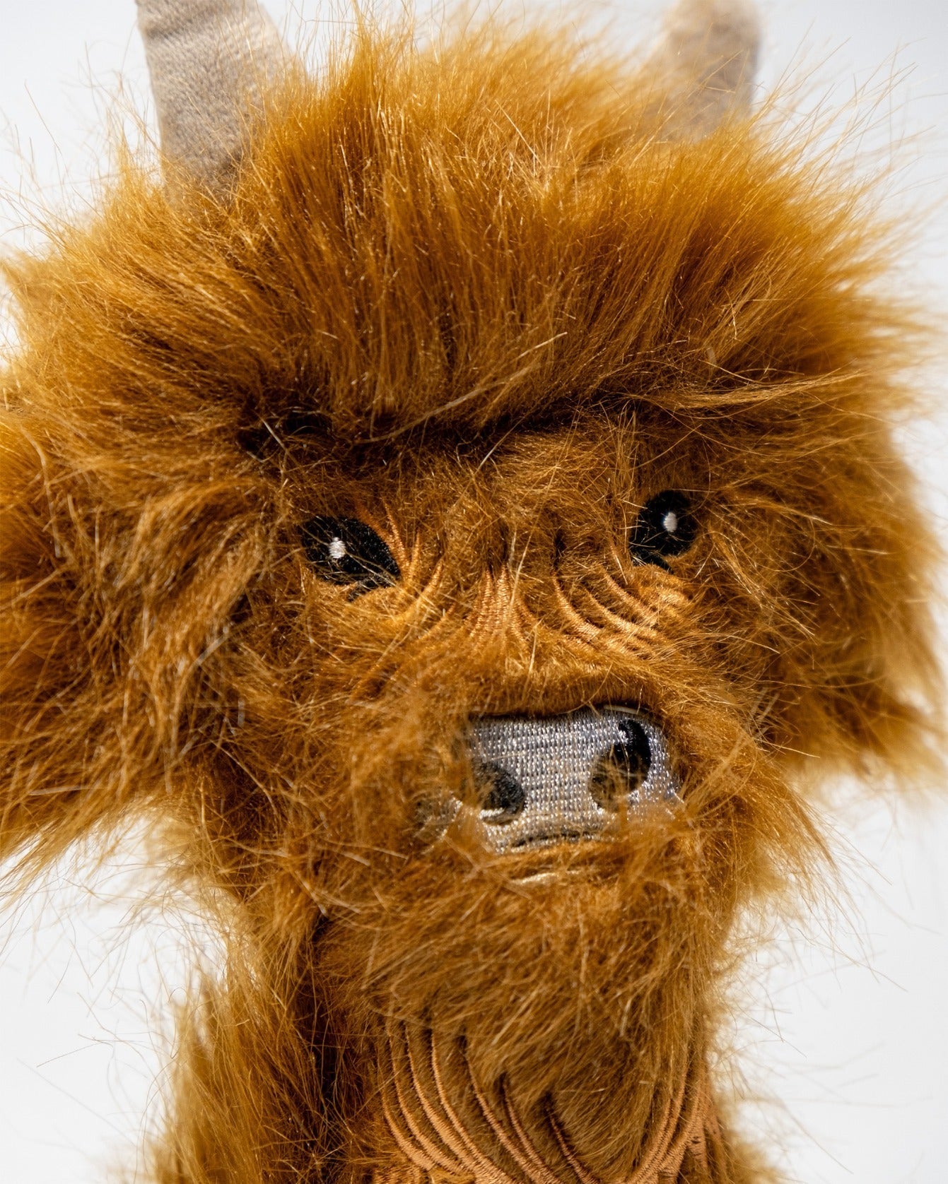 Highland Cow - Hybrid Cover - Club Rehab
