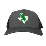 Charcoal Curved Bill Mesh Snapback