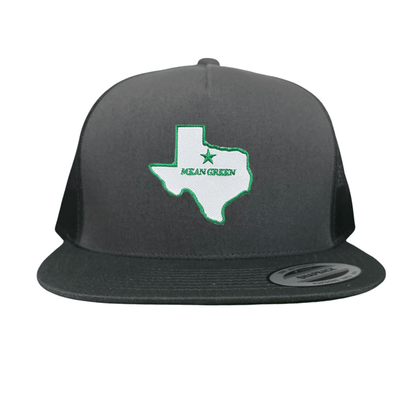 North Texas State of Texas Mean Green / 264 / UNT087 / MM - Dad Hat Grey - Club Rehab