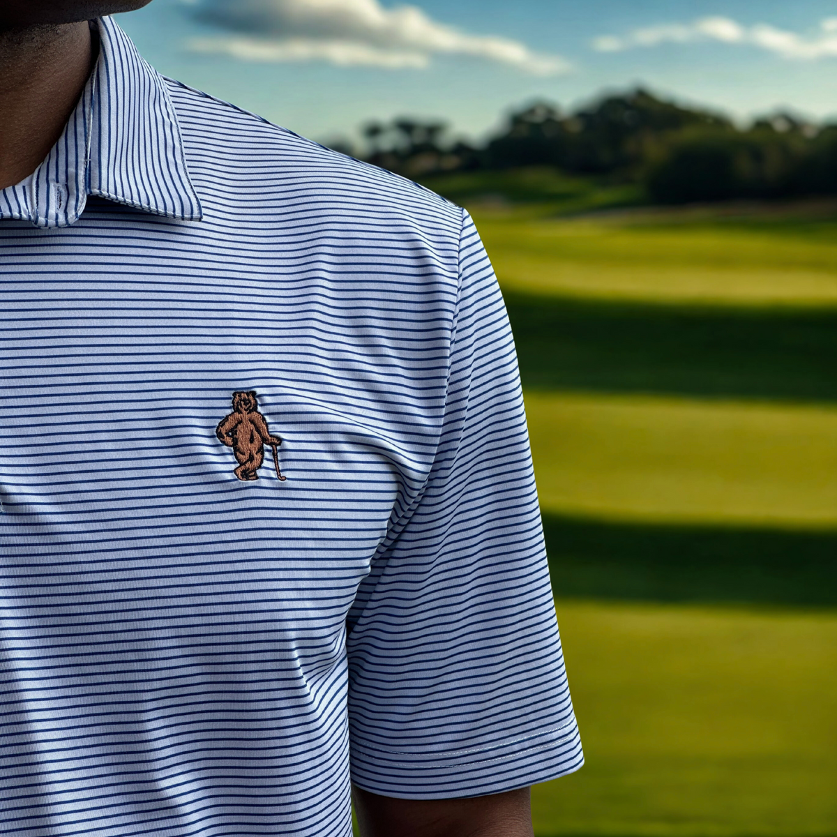 Polo - Navy Striped It, alternate product view 2