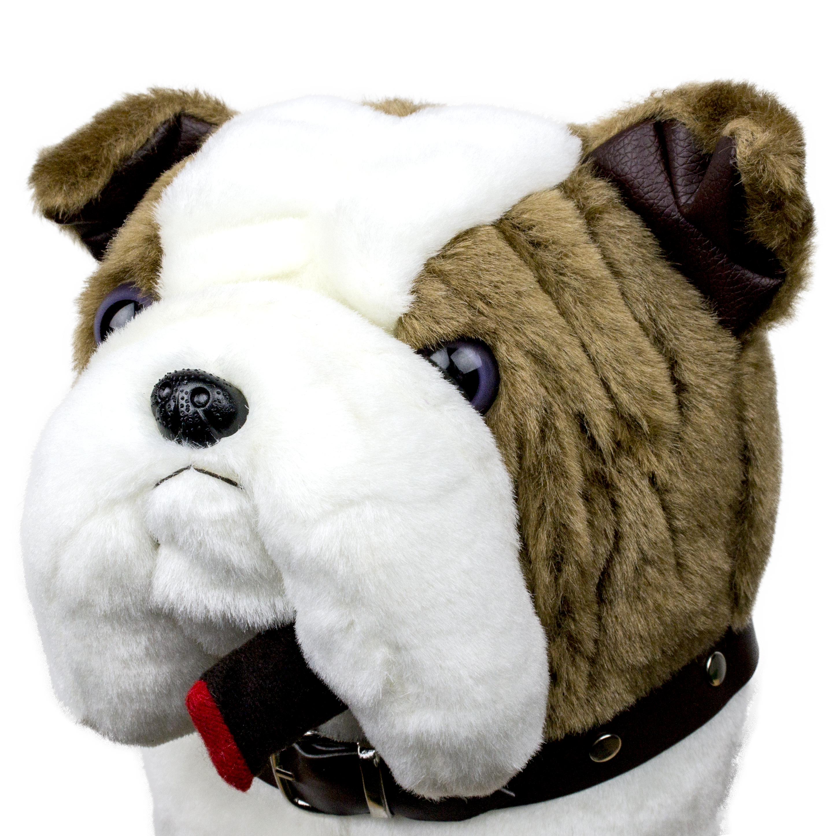 Close-up of the brown and white Bulldog driver headcover with cigar and collar details