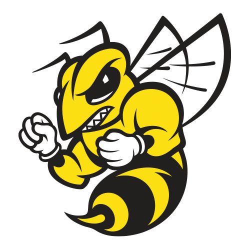 Randolph-Macon Yellow Jackets