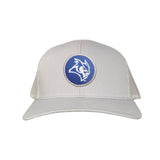 Silver Curved Mesh Snapback