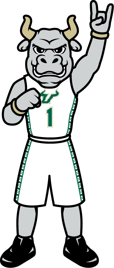 South Florida Bulls