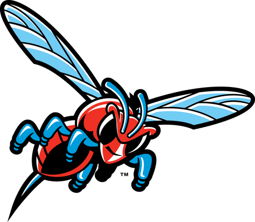 Delaware State Hornets