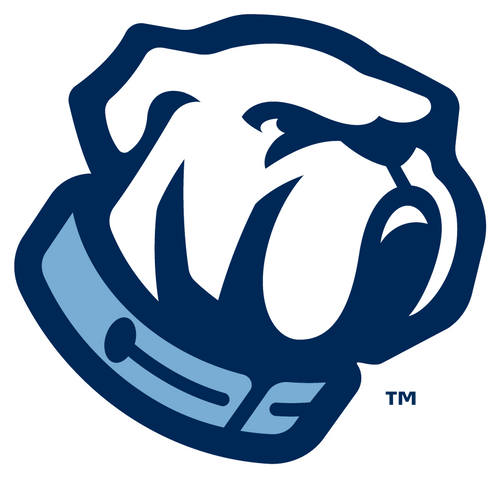 The Citadel Bulldogs