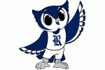 Rice Owls