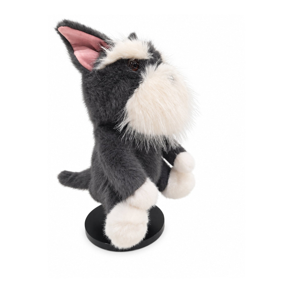 Schnauzer driver headcover, right side view