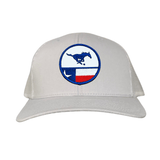 Silver Curved Bill Mesh Snapback