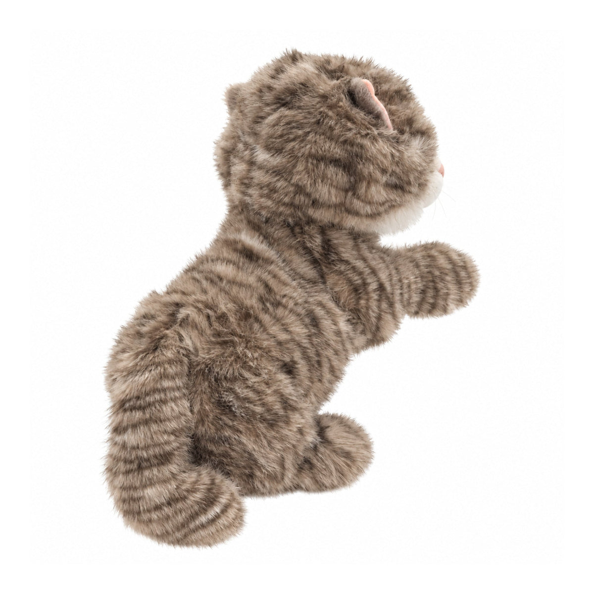 Tabby Cat driver headcover, rear right view