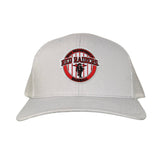 Silver Curved Mesh Snapback