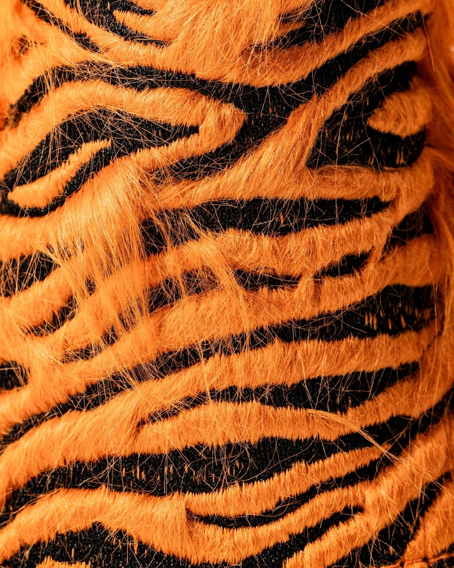 Tiger - Hybrid Cover - Club Rehab