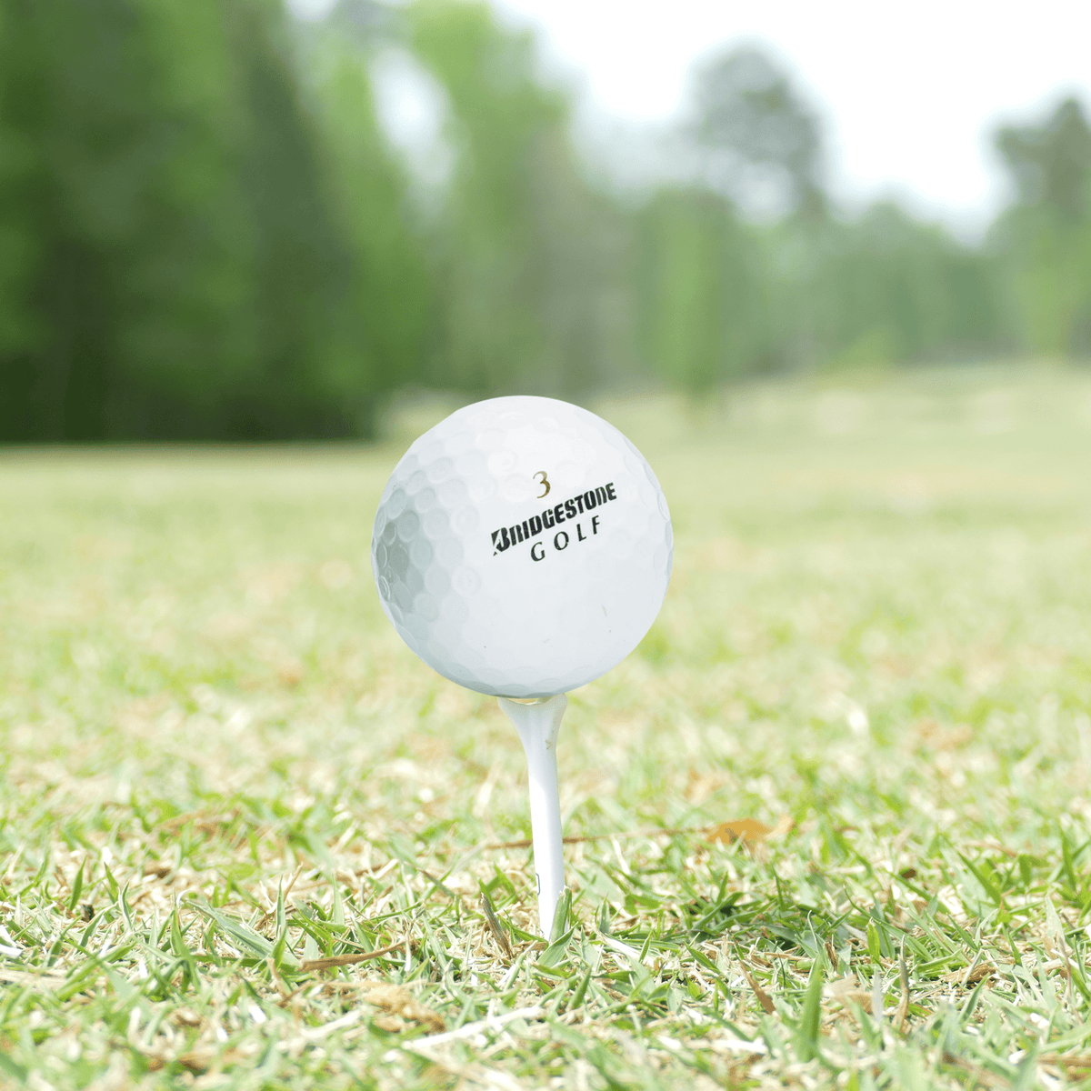 Used Bridgestone e6 Mix - 1 Dozen - Mint - Club Rehab