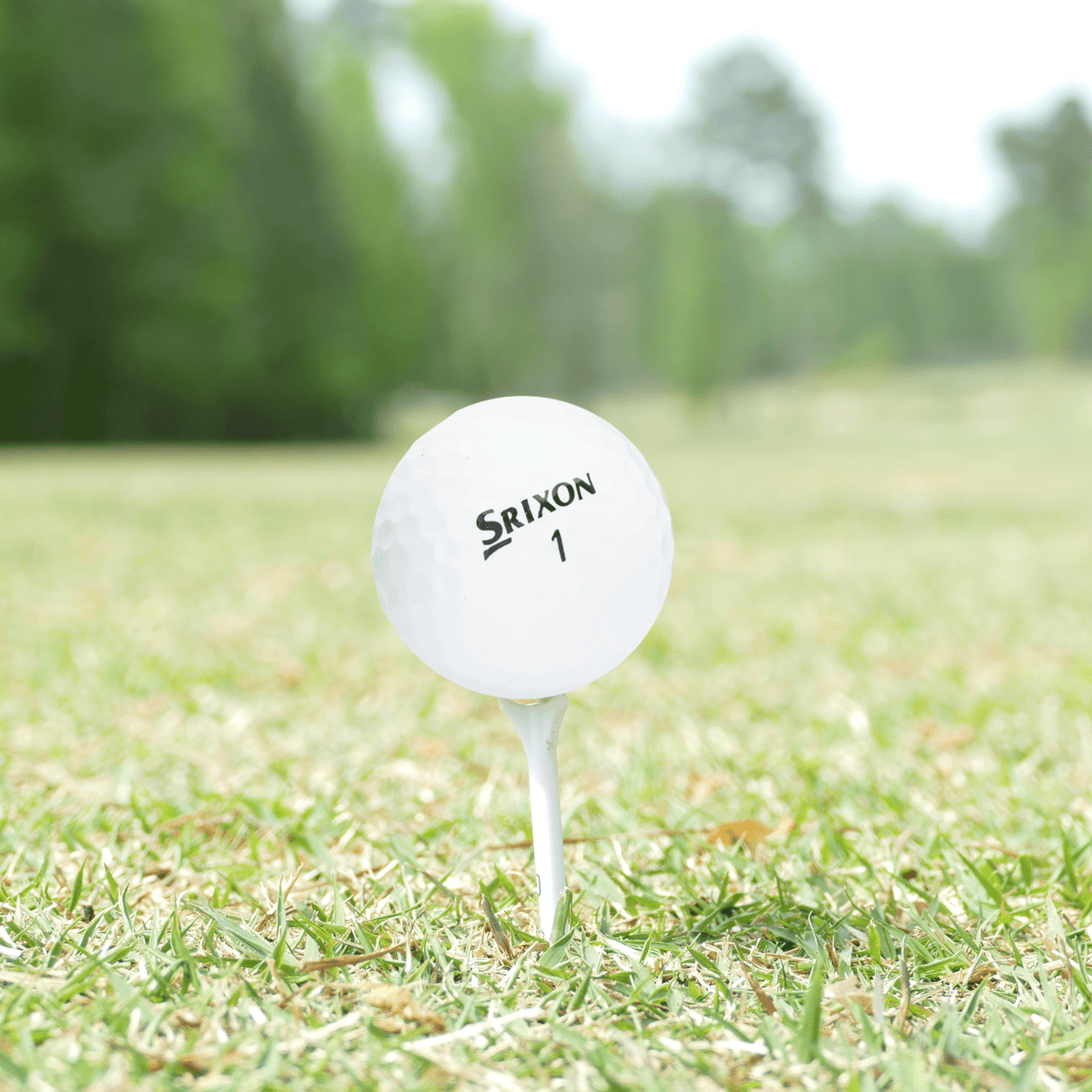 Used Srixon Q-Star/Q-Star Tour Golf Balls - 1 Dozen - Mint - Club Rehab