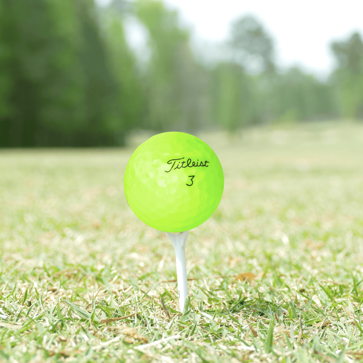 Used Titleist Color Mix Golf Balls - 1 Dozen - Mint - Club Rehab