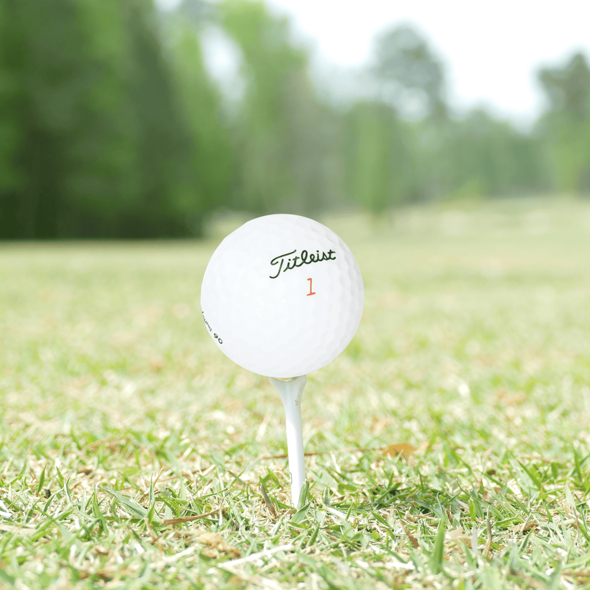 Used Titleist Mix Golf Balls - 1 Dozen - Mint - Club Rehab