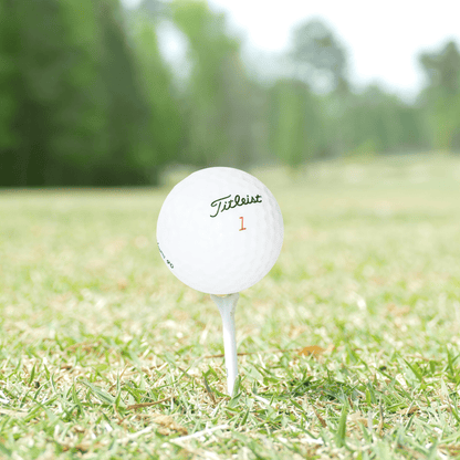 Used Titleist Mix Golf Balls - 1 Dozen - Mint - Club Rehab
