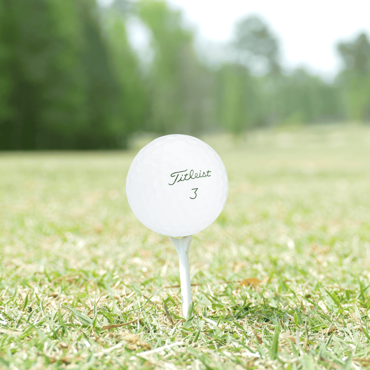 Used Titleist Pro V1 Mix Golf Balls - 1 Dozen - Mint - Club Rehab