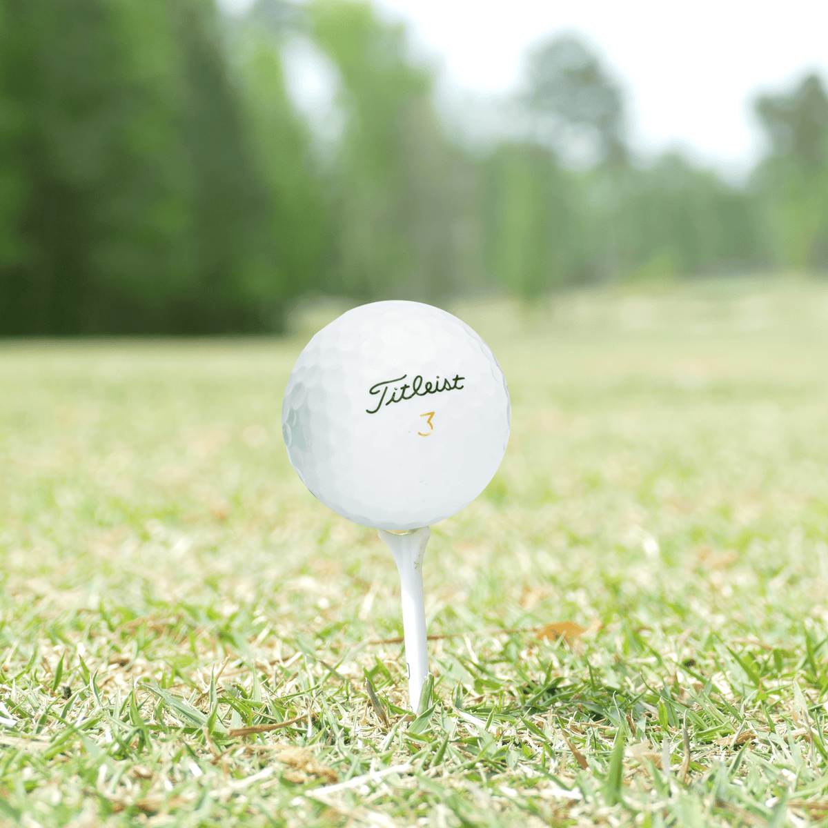 Used Titleist Velocity Golf Balls - 1 Dozen - Mint - Club Rehab