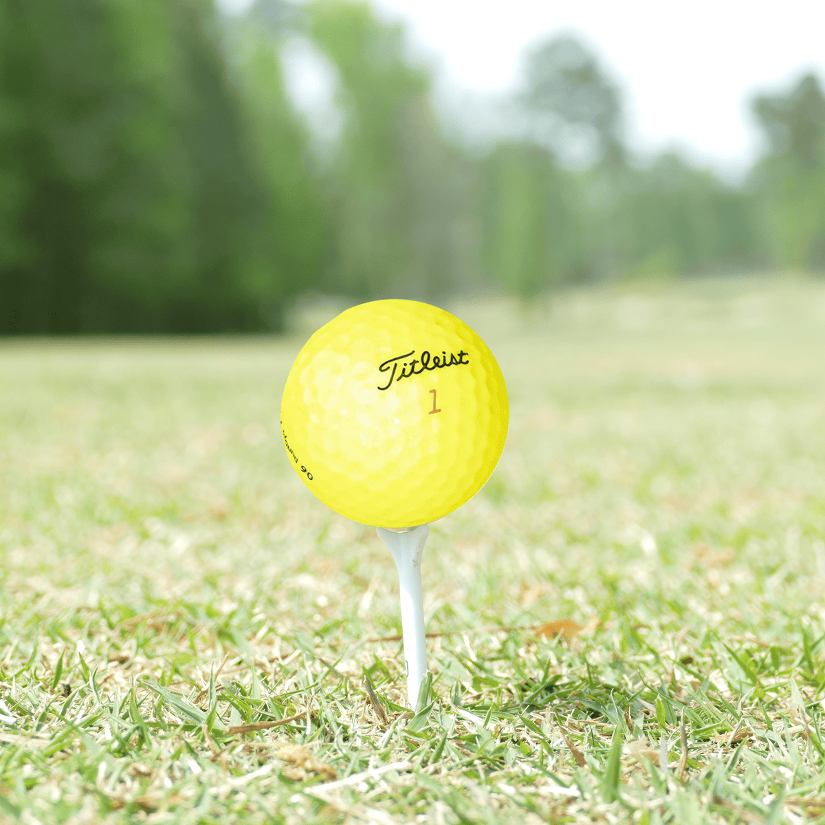 Used Titleist Yellow Mix Golf Balls - 1 Dozen - Mint - Club Rehab
