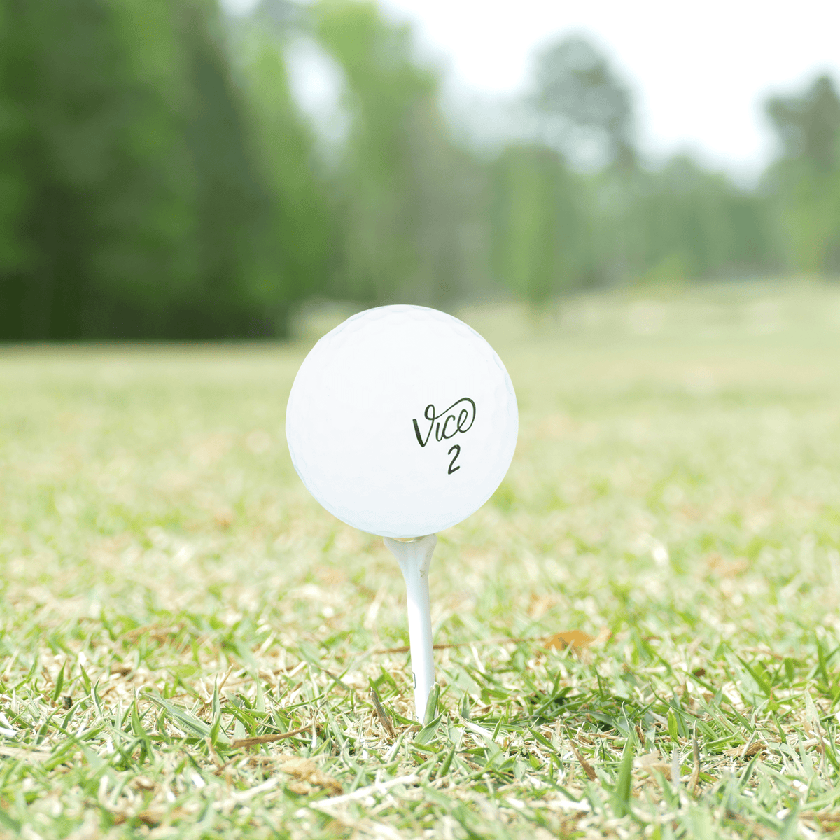 Used Vice Mix Golf Balls - 1 Dozen - Mint - Club Rehab