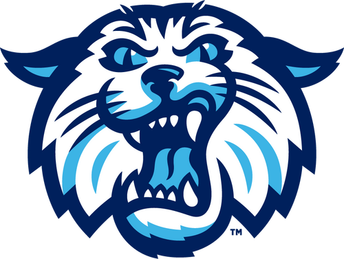 Villanova Wildcats